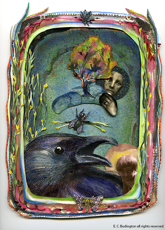 Saltwater Island Crow